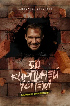 Александр Синеркин 50 кирпичей успеха обложка книги