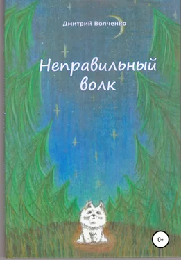Дмитрий Волченко Неправильный волк обложка книги
