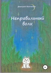 Дмитрий Волченко - Неправильный волк