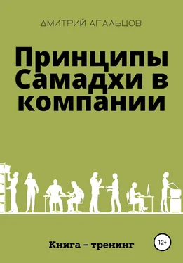 Дмитрий Агальцов Принципы Самадхи в компании. Книга-тренинг обложка книги