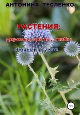 Антонина Тесленко Растения: деревья, цветы, грибы обложка книги