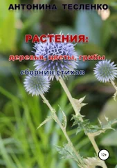 Антонина Тесленко - Растения - деревья, цветы, грибы