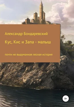 Александр Бондаревский Кус, Кис и Запа-малыш обложка книги