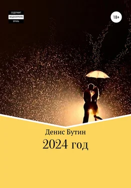 Денис Бутин 2024 год обложка книги