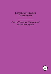 Геннадий Евсельев - Стихи «Записки Шмондера», или Крик души