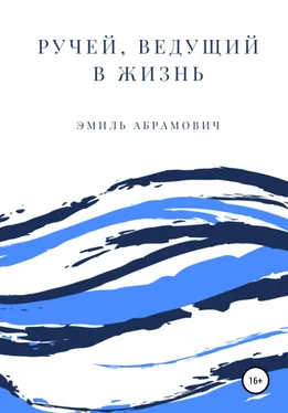 Эмиль Абрамович Ручей, ведущий в жизнь обложка книги