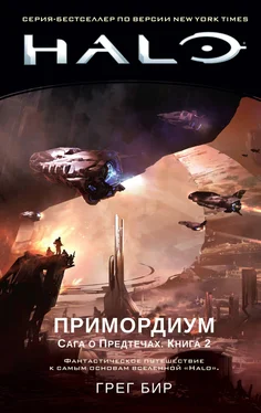 Грег Бир Halo. Сага о Предтечах. Книга 2. Примордиум обложка книги