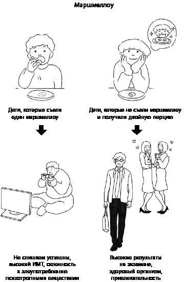Дети которые съели один маршмеллоу Дети которые не съели маршмеллоу и - фото 2