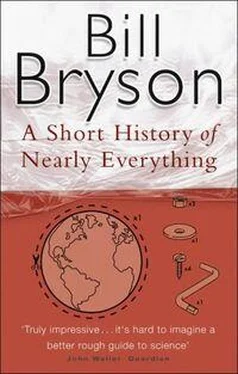 Bill Bryson A short history of nearly everything обложка книги