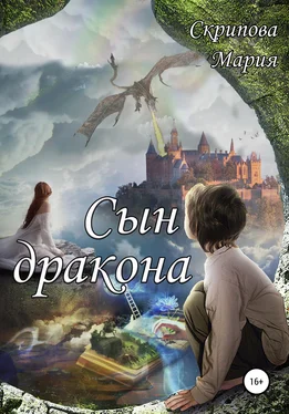 Мария Скрипова Сын дракона обложка книги