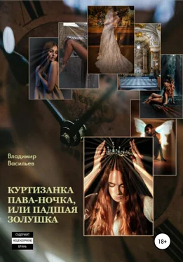 Владимир Васильев Куртизанка Пава-Ночка, или Падшая Золушка обложка книги