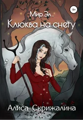 Алиса Скрижалина - Мир Эл. Клюква на снегу