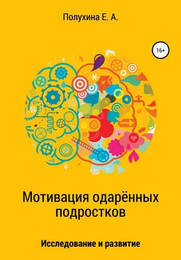 Екатерина Полухина Мотивация одаренных подростков: исследование и развитие обложка книги