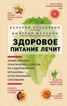 Дмитрий Макунин Здоровое питание лечит обложка книги
