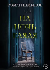Роман Шмыков - На ночь глядя