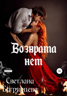 Светлана Багрянцева Возврата нет обложка книги