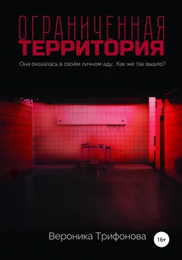 Вероника Трифонова Ограниченная территория обложка книги