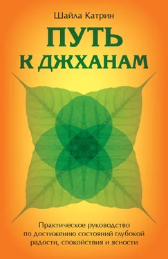 Шайла Катрин Путь к джханам. Практическое руководство по достижению состояний глубокой радости, спокойствия и ясности обложка книги