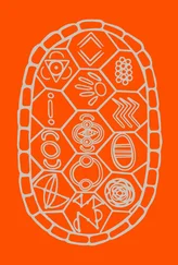 Тайсон Янкапорта - Разговоры на песке. Как аборигенное мышление может спасти мир