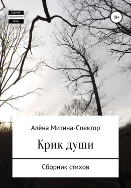 Алёна Митина-Спектор Крик души обложка книги