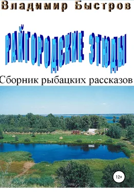 Владимир Быстров Райгородские этюды обложка книги