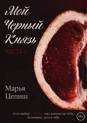 Марья Цепиш - Мой Черный Князь. Часть 2