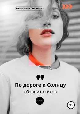 Екатерина Ситнова По дороге к Солнцу обложка книги