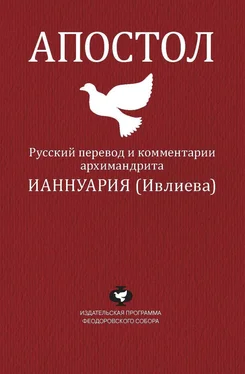 Архимандрит Ианнуарий (Ивлиев) Ианнуарий (Ивлиев) Апостол. Русский перевод и комментарии архимандрита Ианнуария (Ивлиева) обложка книги