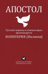 Архимандрит Ианнуарий (Ивлиев) Ианнуарий (Ивлиев) - Апостол. Русский перевод и комментарии архимандрита Ианнуария (Ивлиева)