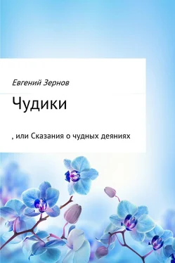 Евгений Зернов Чудики, или Сказания о чудных деяниях обложка книги