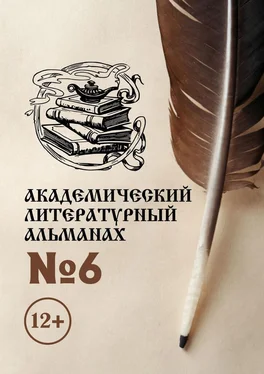 Н. Копейкина Академический литературный альманах №6 обложка книги