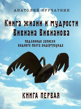 Анатолий Курчаткин Книга жизни и мудрости Вивиана Вивианова. Подлинные записки видного поэта андерграунда. Книга первая обложка книги