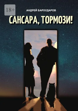 Андрей Бархударов Сансара, тормози! обложка книги