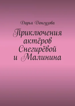 Дарья Донгузова Приключения актёров Снегирёвой и Малинина обложка книги