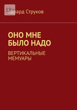 Эдуард Струков Оно мне было надо. Вертикальные мемуары обложка книги