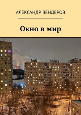 Александр Вендеров Окно в мир обложка книги