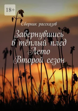 Алёна Бондарук Завернувшись в тёплый плед. Лето. Второй сезон обложка книги