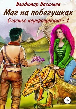 Владимир Васильев Маг на побегушках. Счастье неукрощенное 1 обложка книги