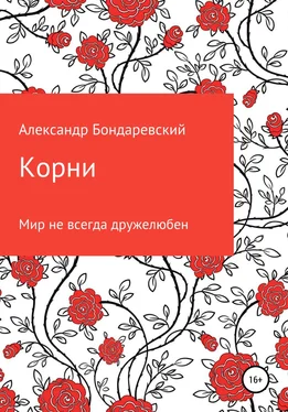 Александр Бондаревский Корни обложка книги