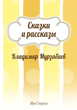 Владимир Мурзабаев Сказки и рассказы (сборник)