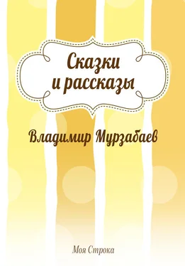 Владимир Мурзабаев Сказки и рассказы (сборник) обложка книги