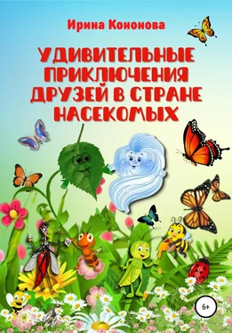 Ирина Кононова Удивительные приключения друзей в стране насекомых обложка книги