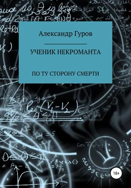 Александр Гуров Книга 3. Ученик некроманта. По ту сторону Смерти обложка книги