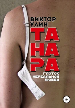 Виктор Улин Танара обложка книги