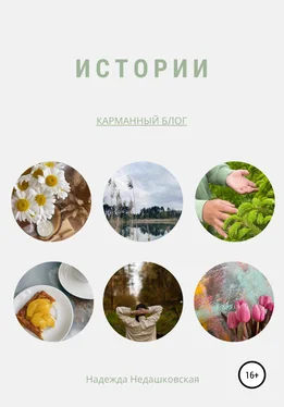 Надежда Недашковская Истории обложка книги