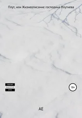 АЕ - Плут, или Жизнеописание господина Плутнева