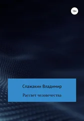 Владимир Спажакин - Рассвет человечества