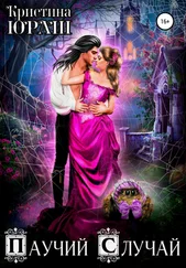 Кристина Юраш - Паучий Случай
