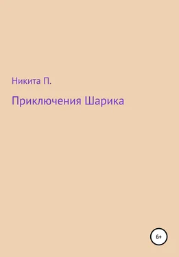 Никита П. Приключения Шарика обложка книги