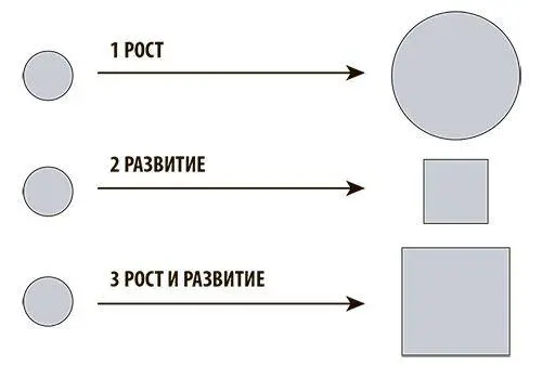 Рисунок 14Отличие роста от развития Можно расти без развития можно - фото 19
